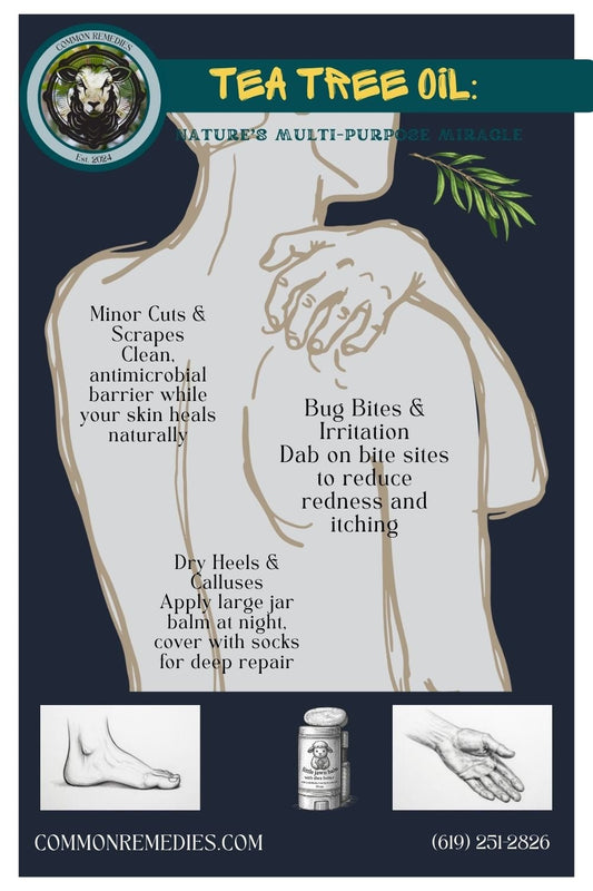 The Tea Tree Flower Behind Our Logo — and the Healing Legacy It Represents - Common Remedies, LLC
